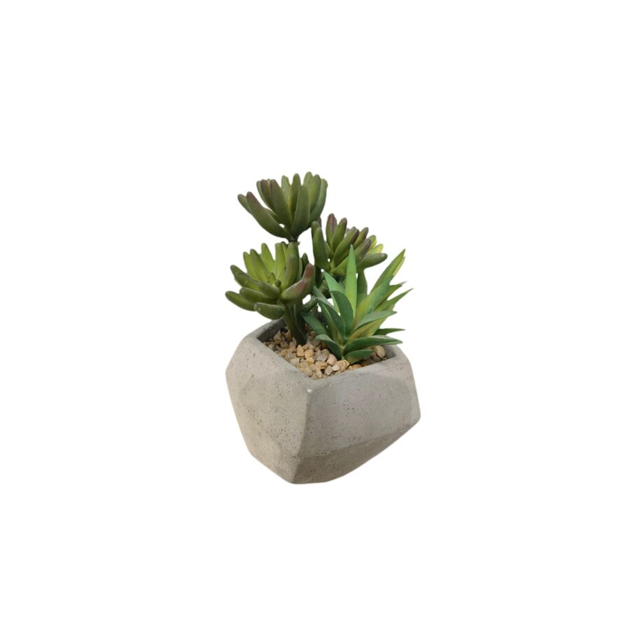 Plante ARTIFICIELLE AVEC POT EN CIMENT 11,5x11,5x16cm - Blanc
